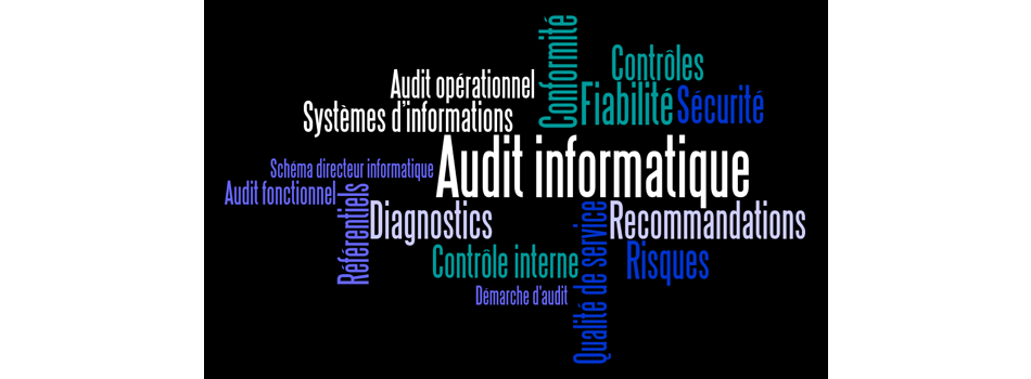 Réalisation de missions d'Audit et de Conseil informatique