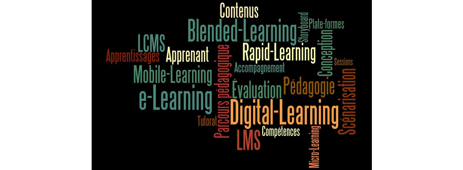 Elaboration de dispositifs de formations e-Learning / Blended-Learning / Digital Learning