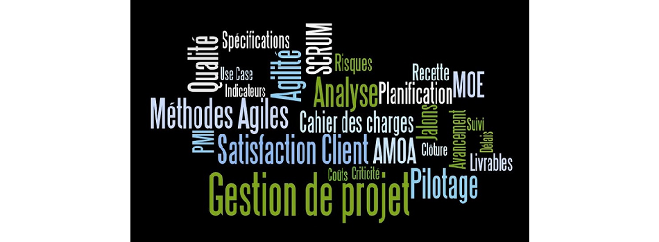 Management de projet (AMOA / MOE)